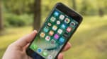 Bị tố iPhone 7 phát ra bức xạ vô tuyến cao gấp đôi mức cho phép, Apple tuyên bố bài kiểm tra không chính xác