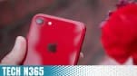 iPhone SE 2 sẽ có giá bán từ 399 USD, chip A13, RAM 3GB, dung lượng 64GB, ra mắt trong Q1/2020