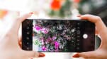 Tận dụng tối đa khả năng zoom phi thường của Galaxy S21 Ultra, bạn sẽ có những tác phẩm đáng nhớ