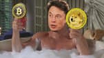 Elon Musk thích thú ý tưởng bồn tắm nước nóng kiêm máy đào Dogecoin, hy vọng giải cứu cho bong bóng sắp vỡ